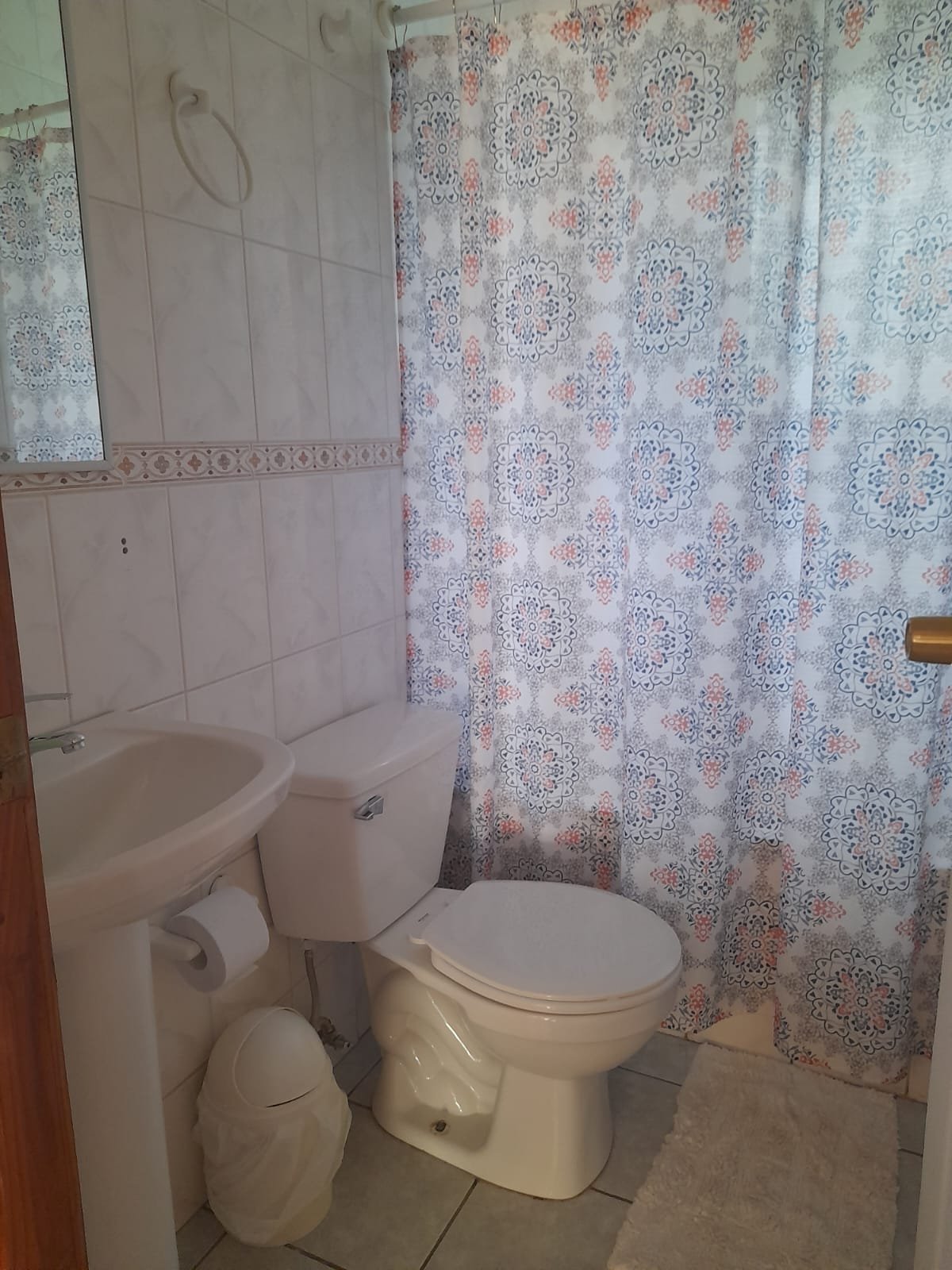 Complejo vacacional con cabañas en caburgua. (venta) - Imagen 8