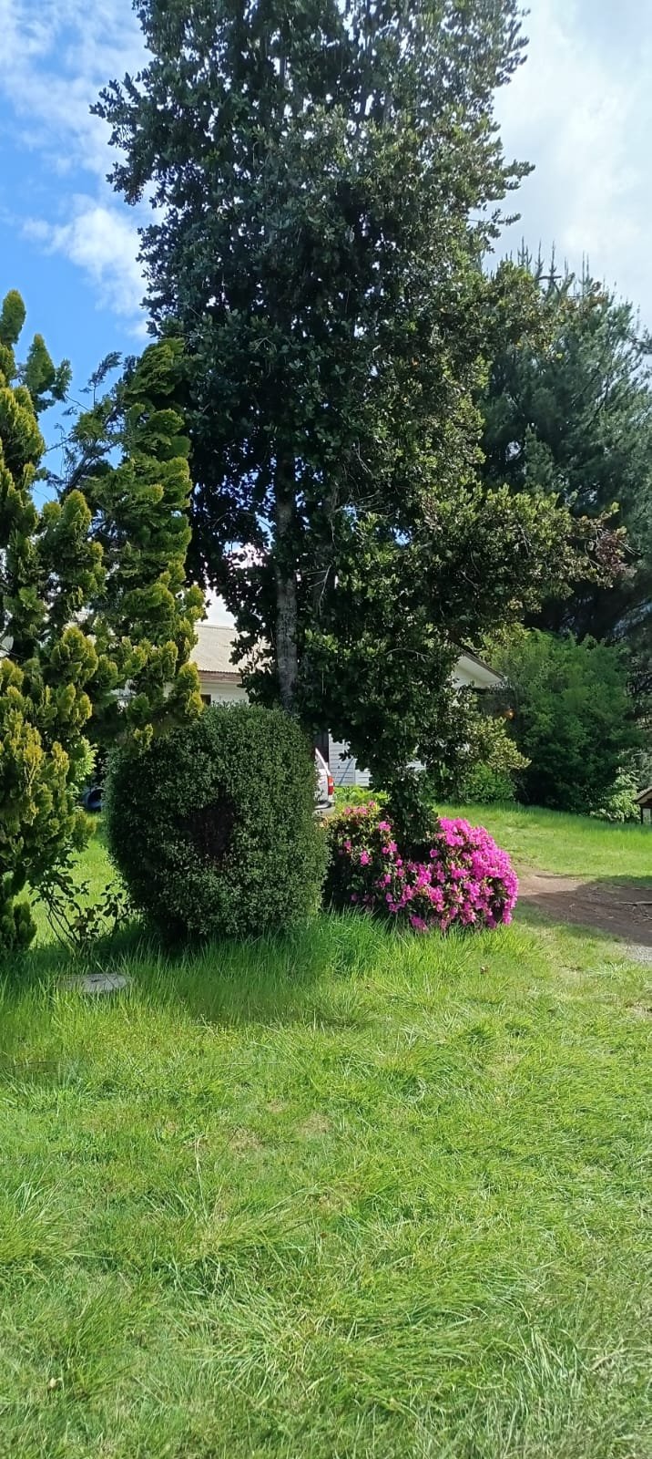 Complejo vacacional con cabañas en caburgua. (venta) - Imagen 11