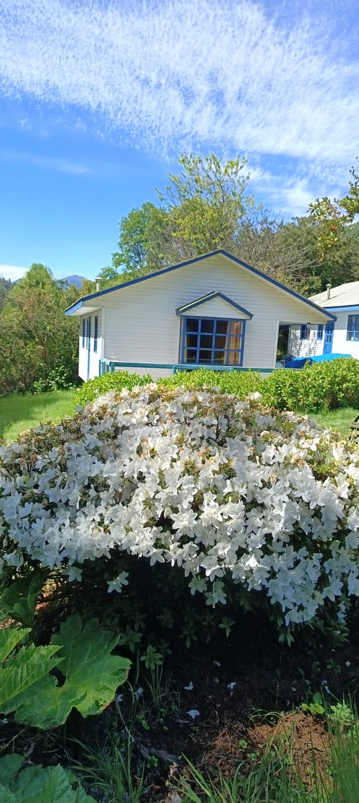 Complejo vacacional con cabañas en caburgua. (venta) - Imagen 19